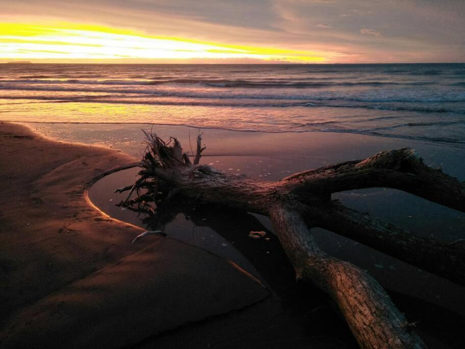 Beachfront Bliss Paraparaumu Εξωτερικό φωτογραφία