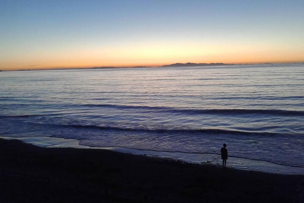 Beachfront Bliss Paraparaumu Εξωτερικό φωτογραφία