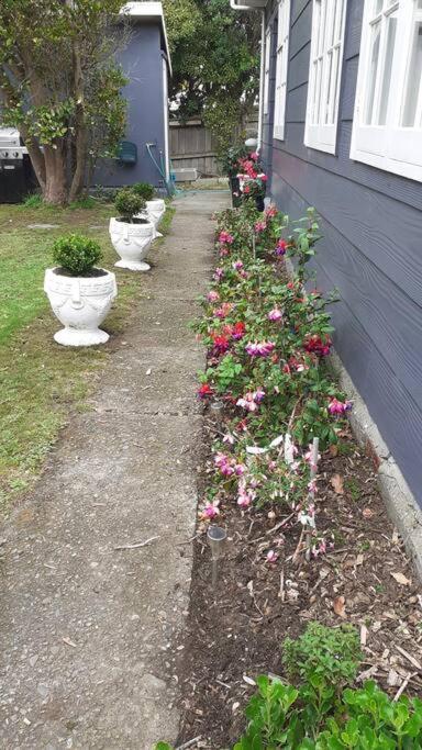 Beachfront Bliss Paraparaumu Εξωτερικό φωτογραφία